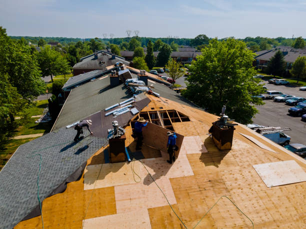 Trusted Storm Damage Roof Repair service in Carrsville, VA - Brentwood Metal Roofing